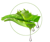 Výtažek z Aloe vera