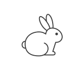 Rabbit Icon